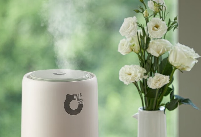 冬季家居，加濕器選購指南